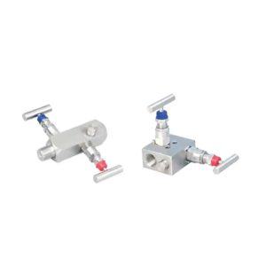 1 Manifold Valves