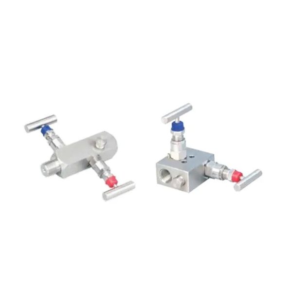 1 Manifold Valves