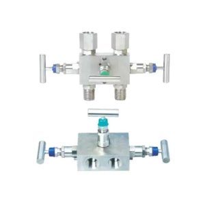 2 Manifold Valves