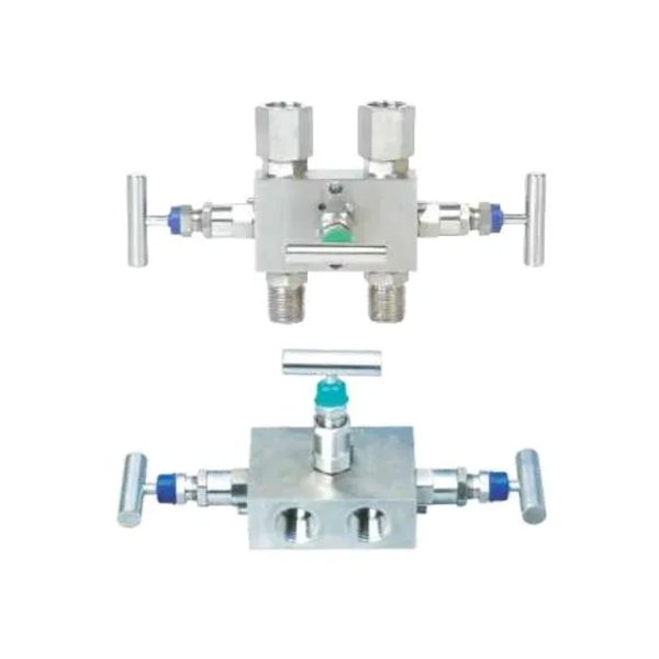 2 Manifold Valves