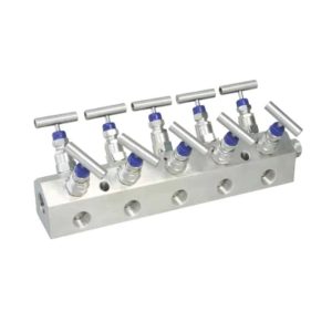 5 Manifold Valves