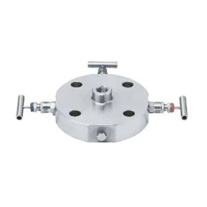 6 Manifold Valves