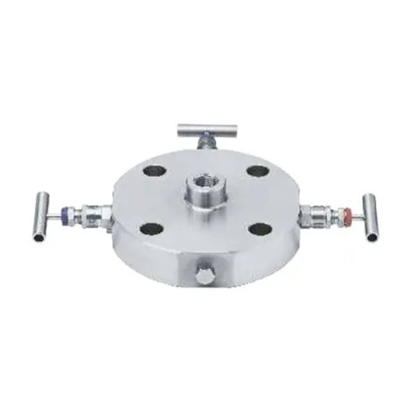 6 Manifold Valves